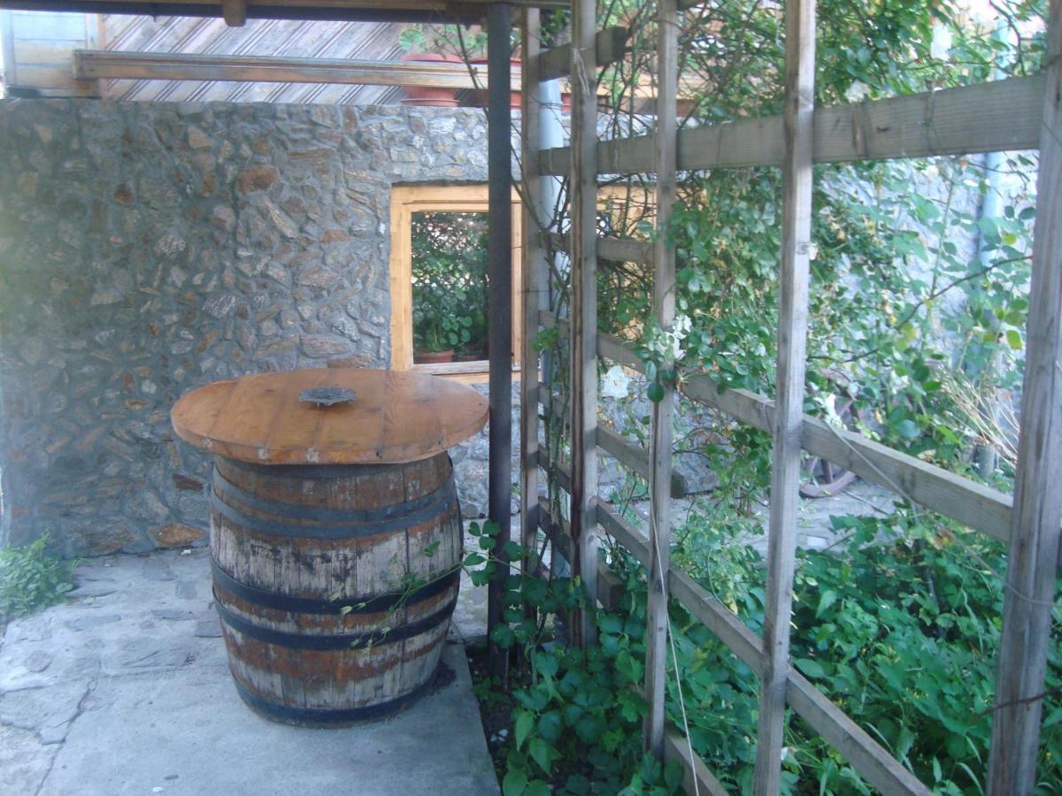 Pensiunea Nicky Oestii Ungureni Exterior foto